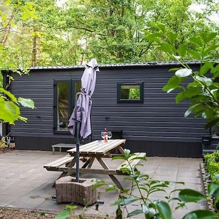 Prachtig Chalet In De Bossen Nunspeet Dış mekan fotoğraf